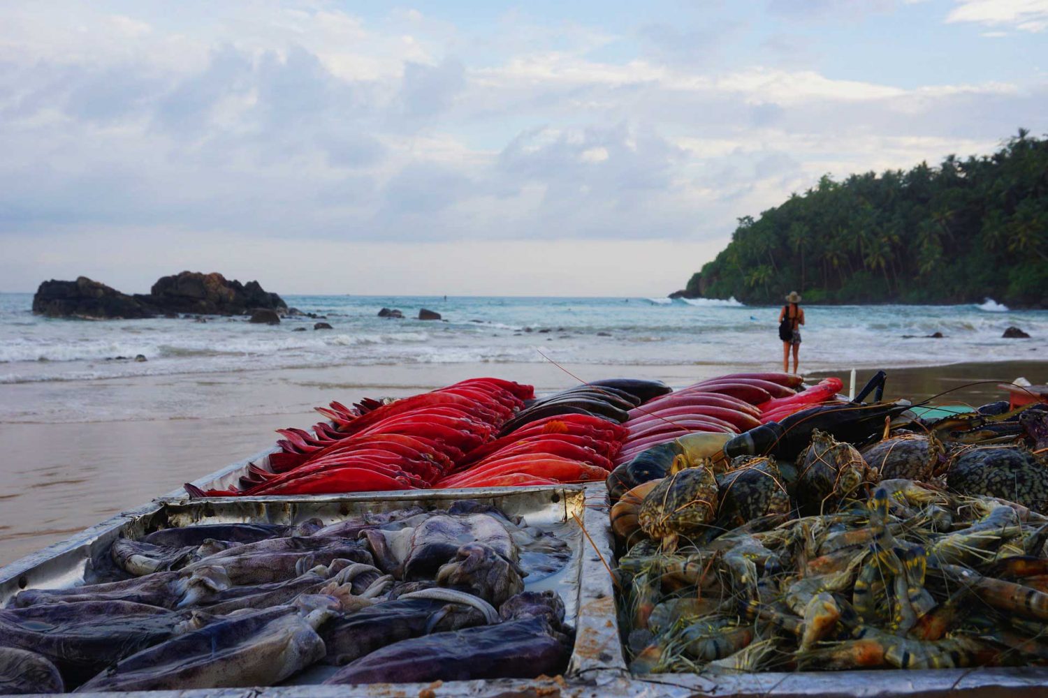 sea food in galle