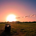 Minneriya national park jeep safari