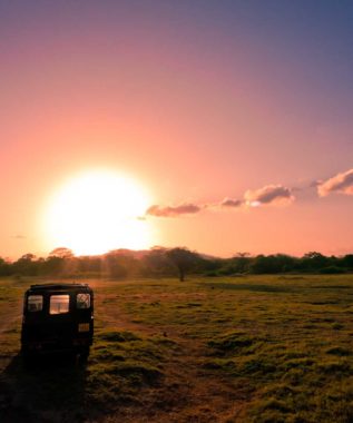 Minneriya national park jeep safari
