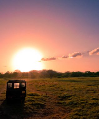 minneriya national park jeep safari