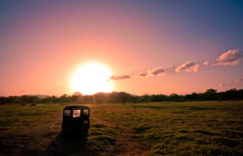 Minneriya national park jeep safari