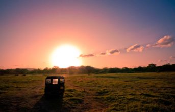 minneriya national park jeep safari