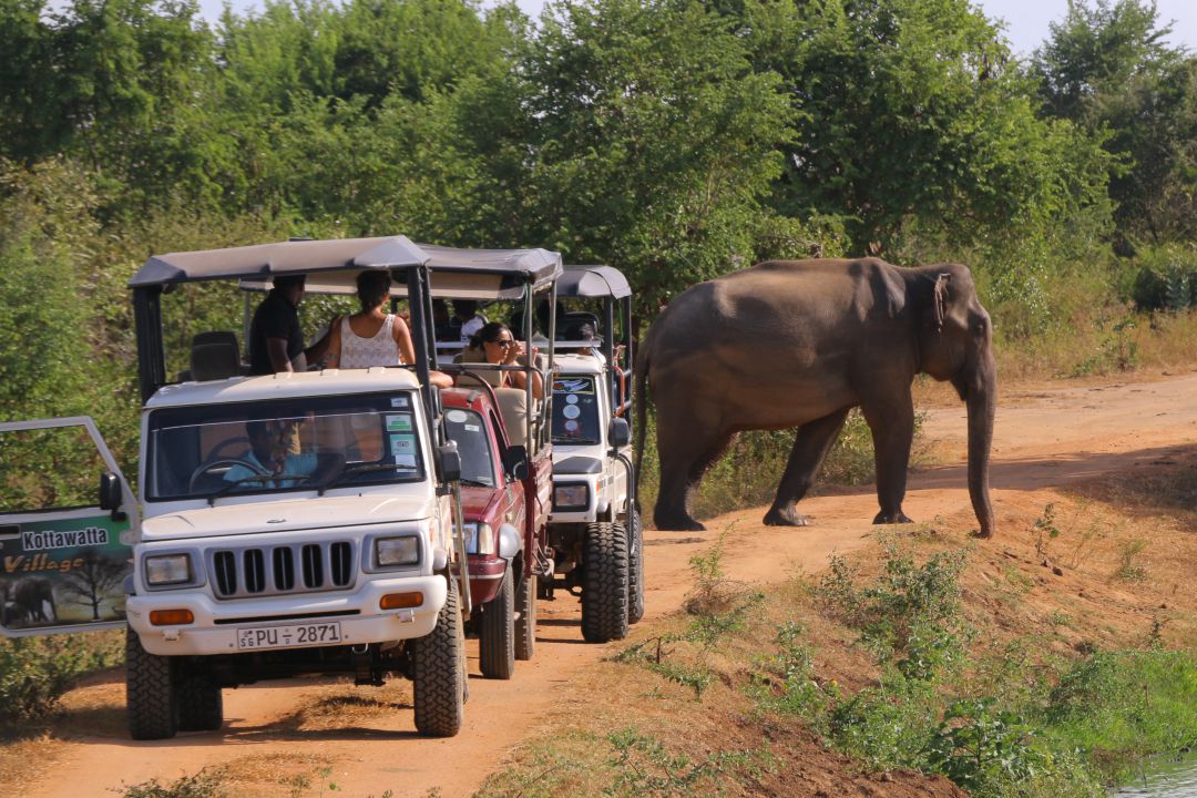 udawalawe safari jeep