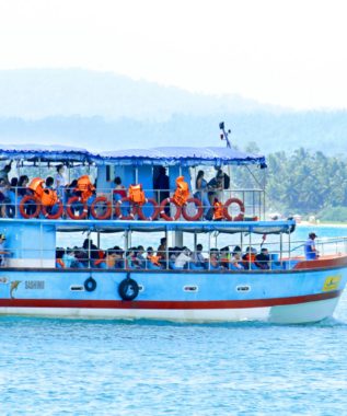 mirissa whale watching boat