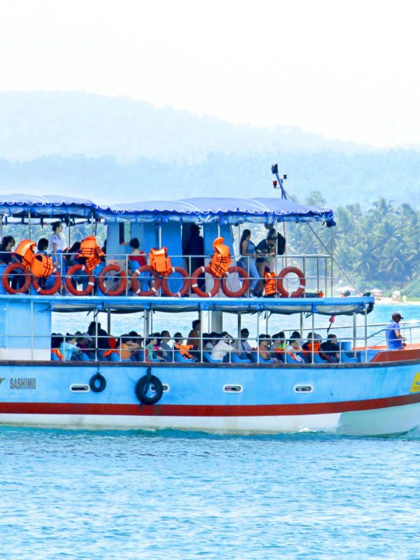 mirissa whale watching boat