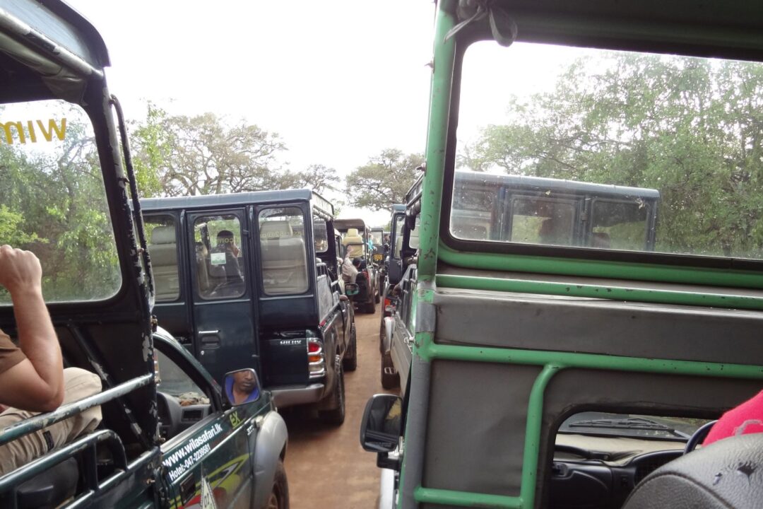 Yala National Park safari Jeeps