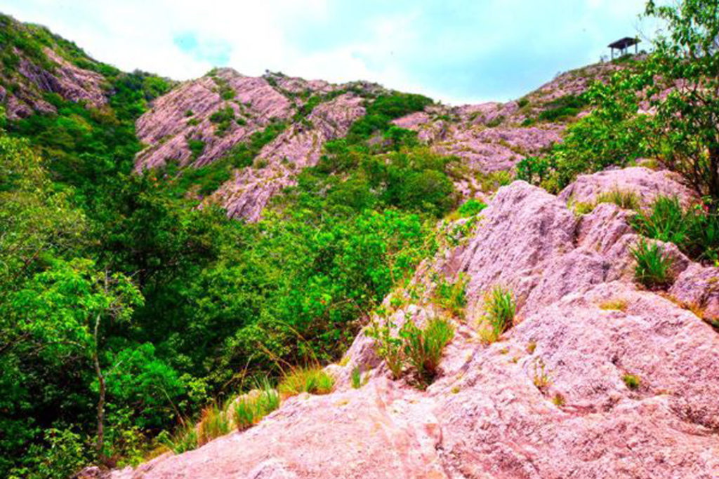 Ironwood forest dambulla