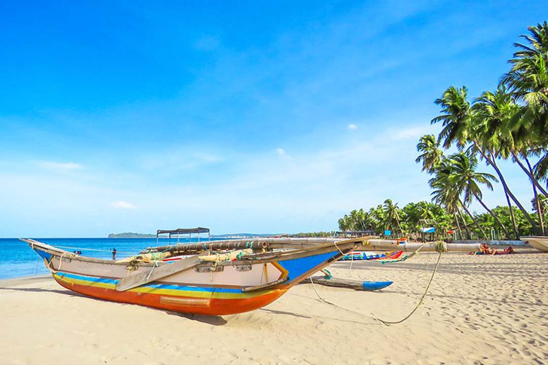 What to Explore Activities Sri Lanka Tour and Travel Guide