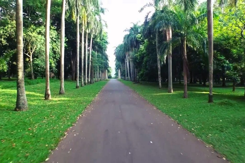 botanical garden peradeniya