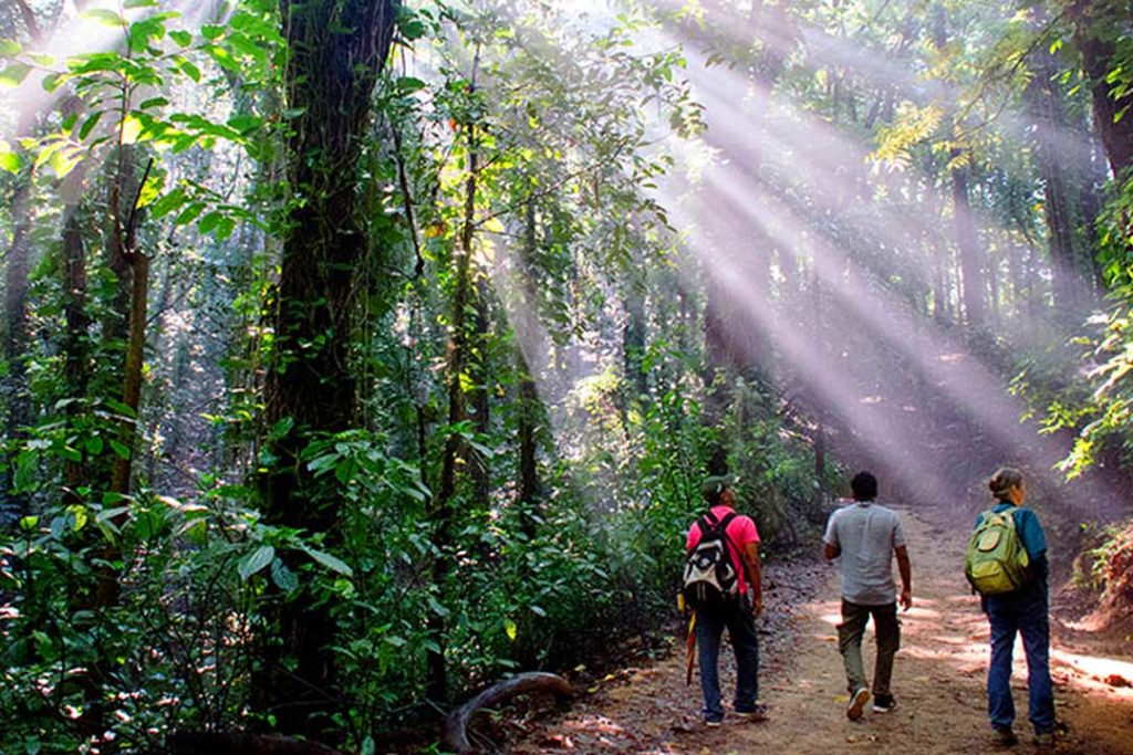 udawattakele forest reserve