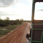 Yala National Park Jeep Safari
