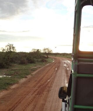 Yala National Park Jeep Safari