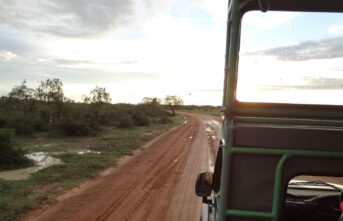 Yala National Park Jeep Safari